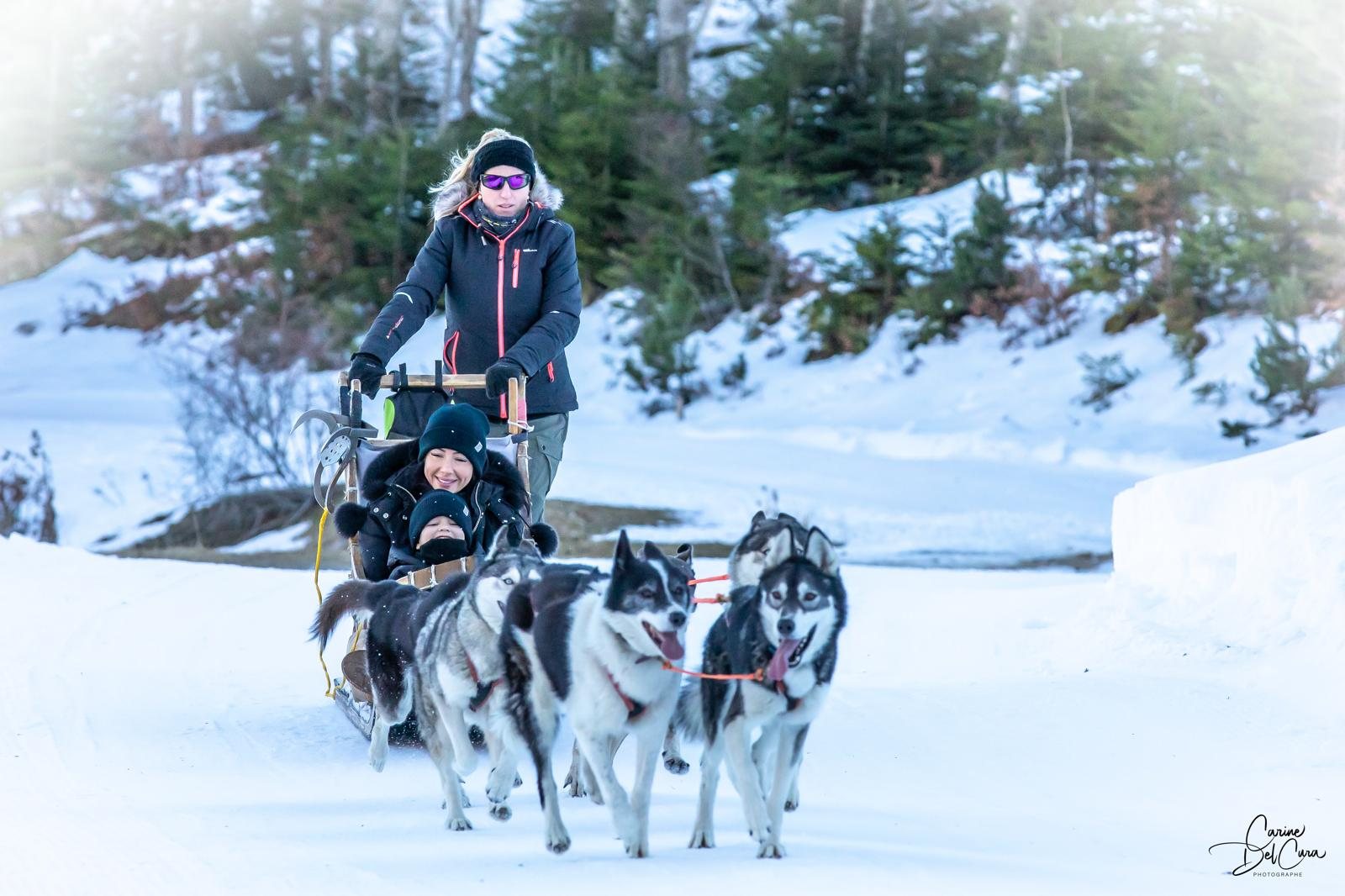 Baptême en traîneau tiré par les huskies de la meute, dans la neige de Mijanès